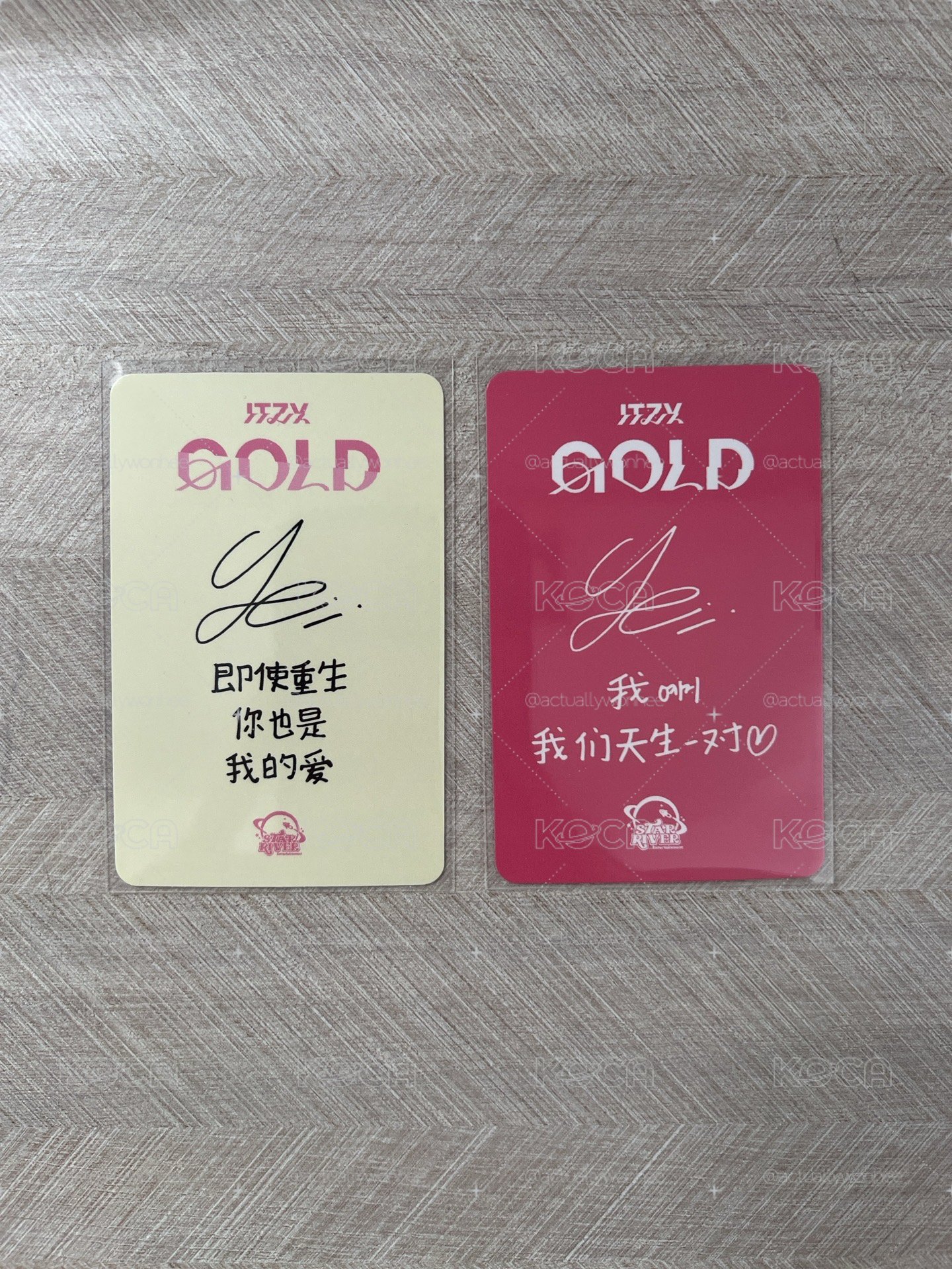 禮志gold中背✨