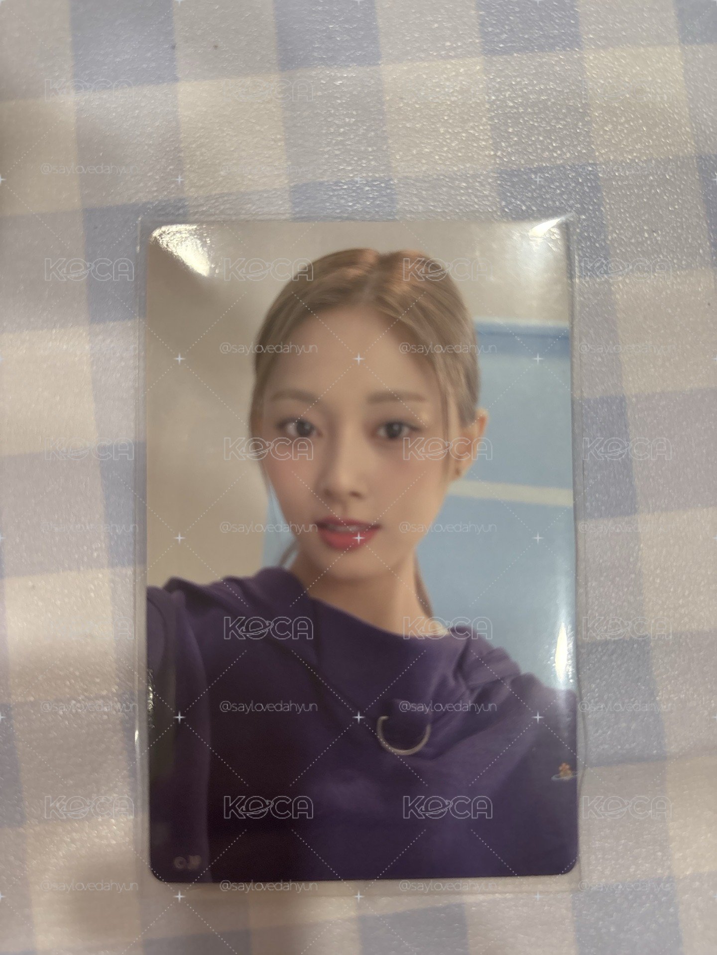 子瑜們
