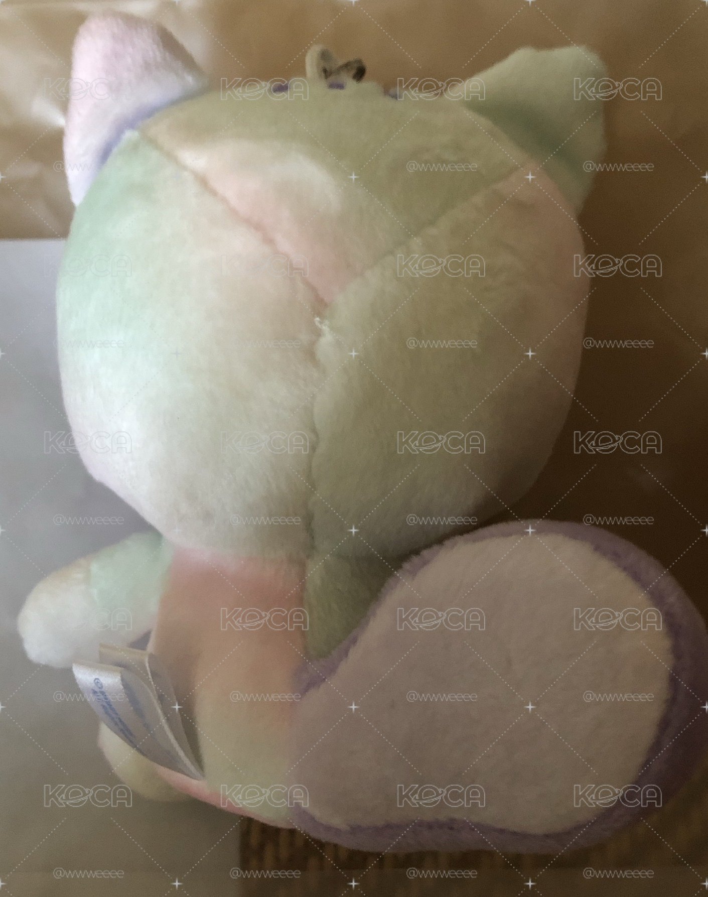異耳松喵喵
