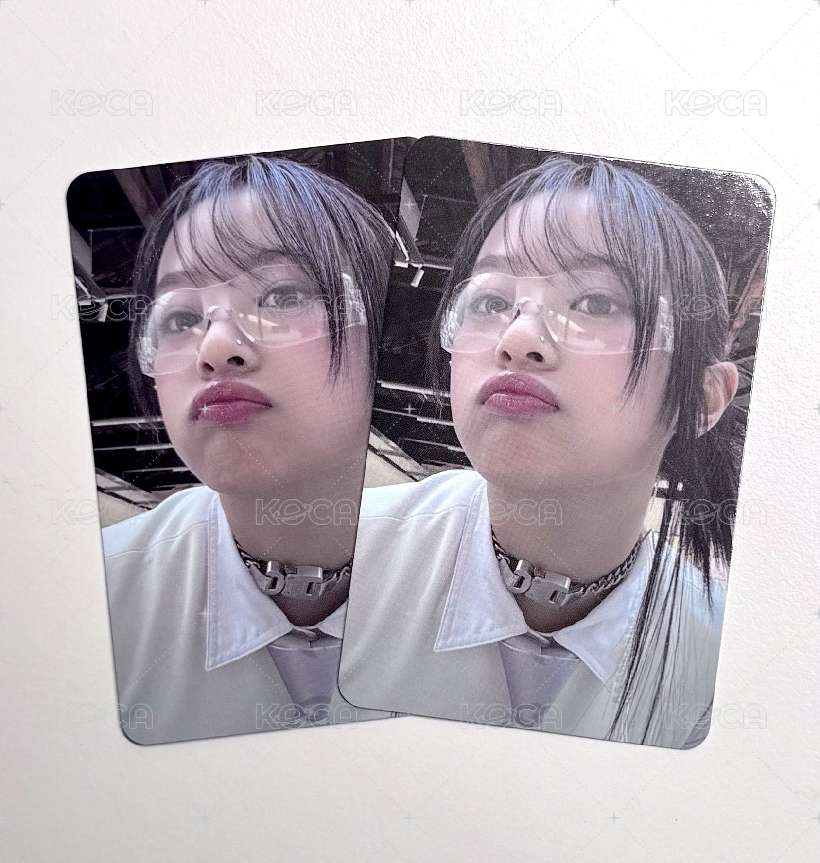 鴨嘴獸哈尼