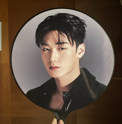 崔傘Towards the Light 扇子 IMAGE PICKET