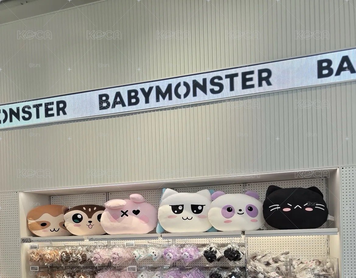 Babymonster抱枕（賢）