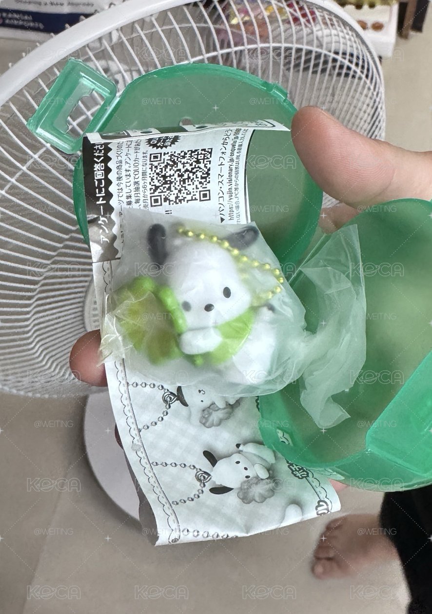 帕恰狗幸運草