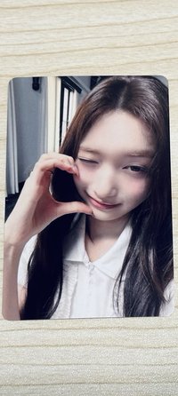 單張