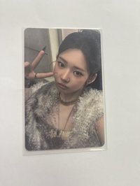 茶（4