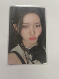 茶（5