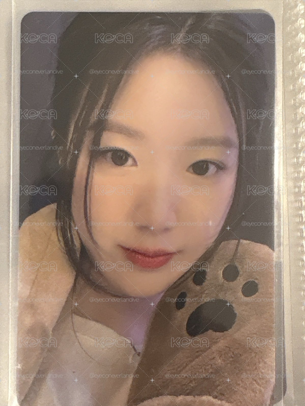 小熊刷