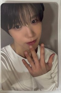 小樹