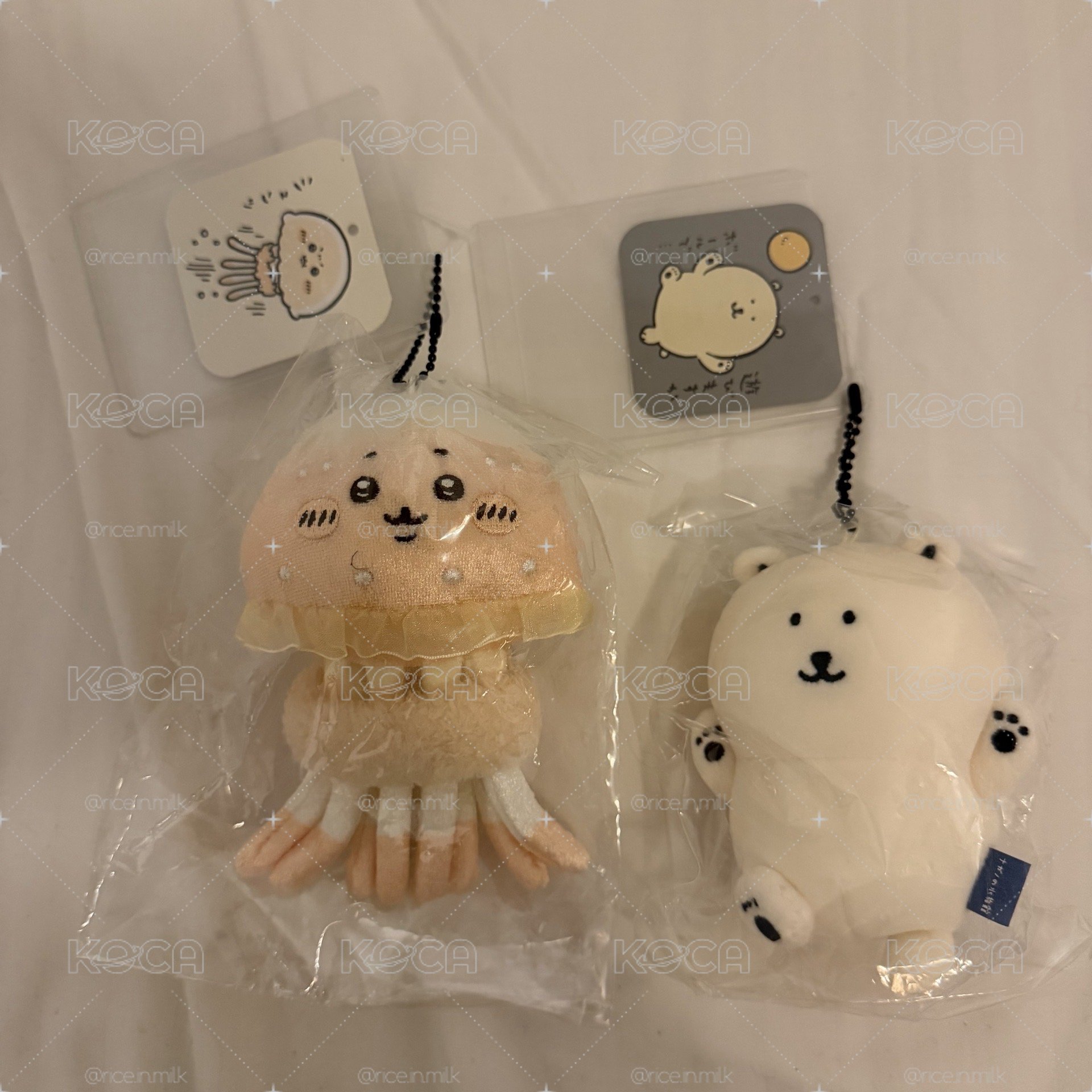 水母&北極熊