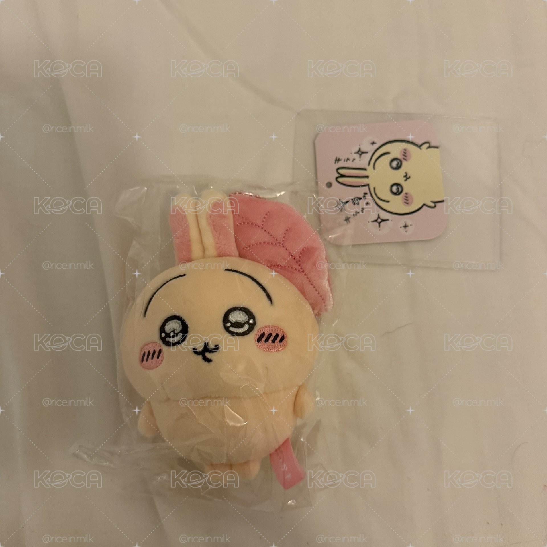 水汪汪