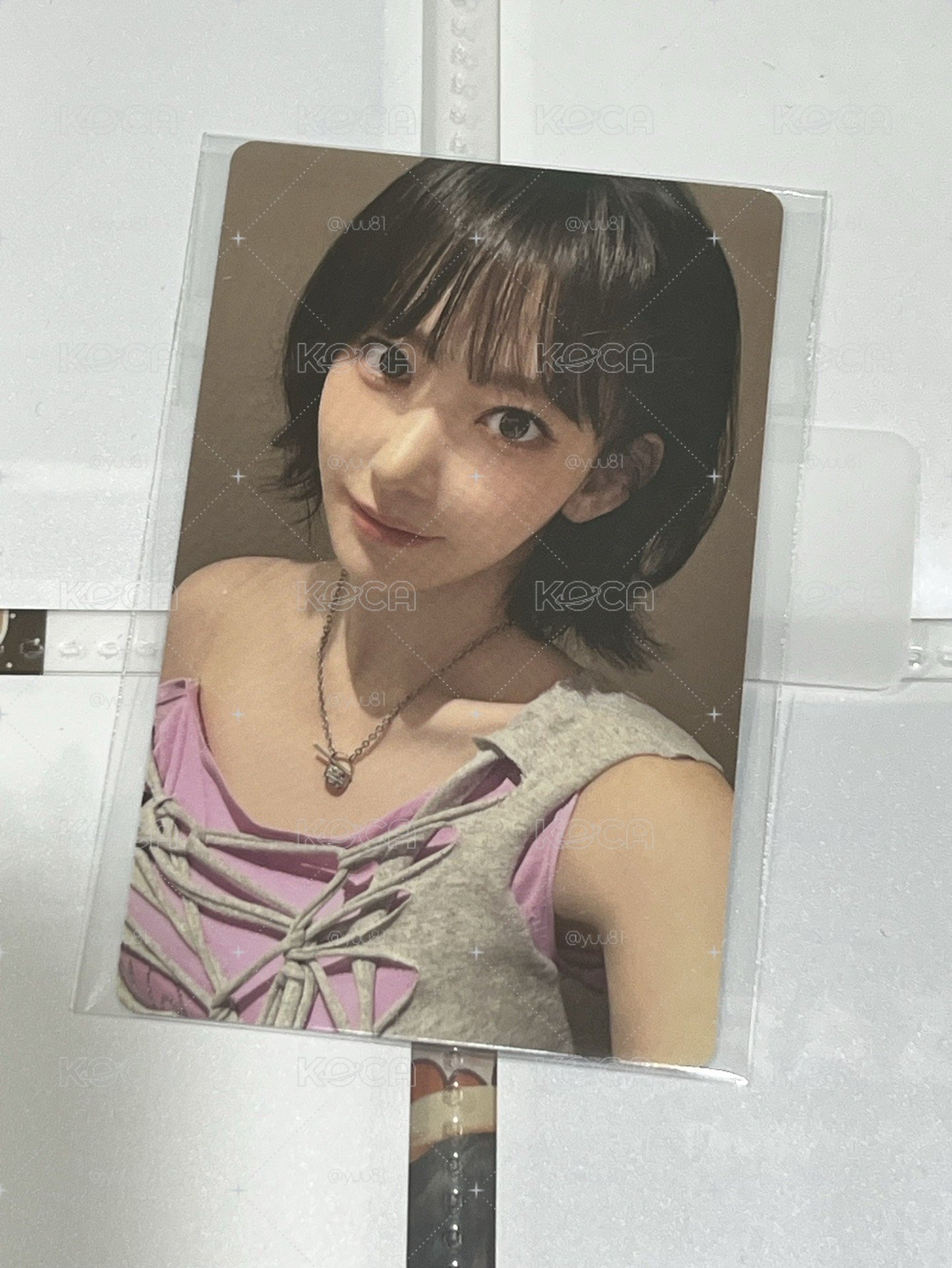 wvs簽售櫻花