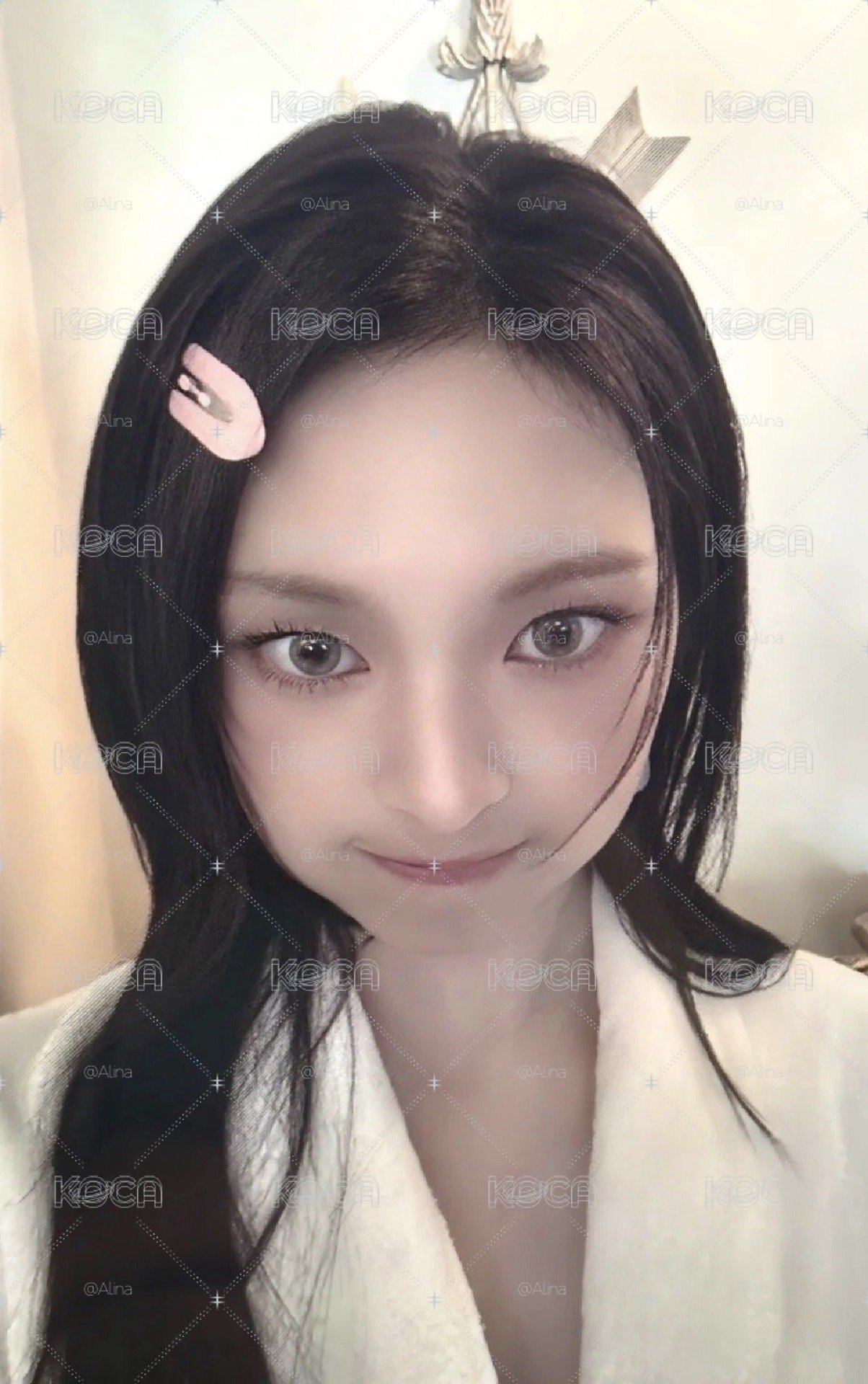 萌萌小豬包柒