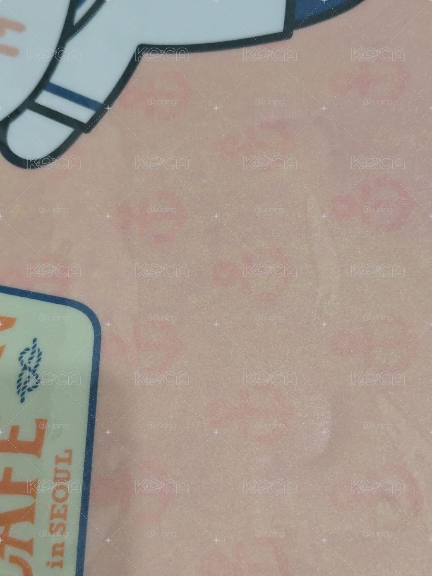 大扇相框大型周邊