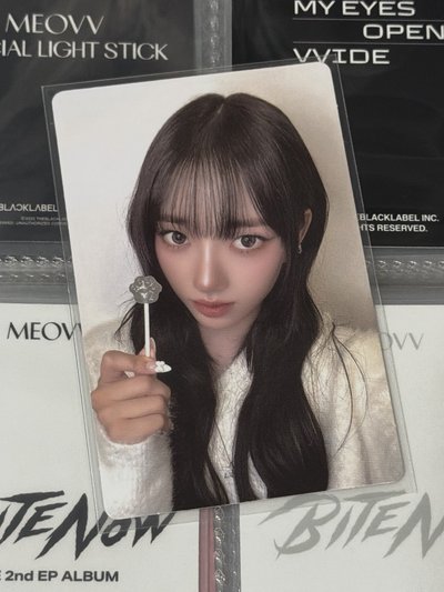 2026情人節 tbl 帽子卡 周邊卡 