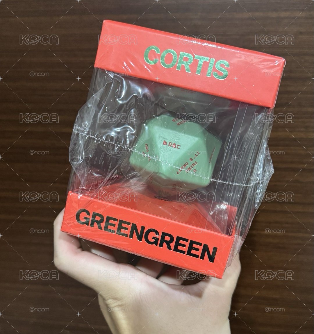 GREENGREEN 全新骰子專現貨