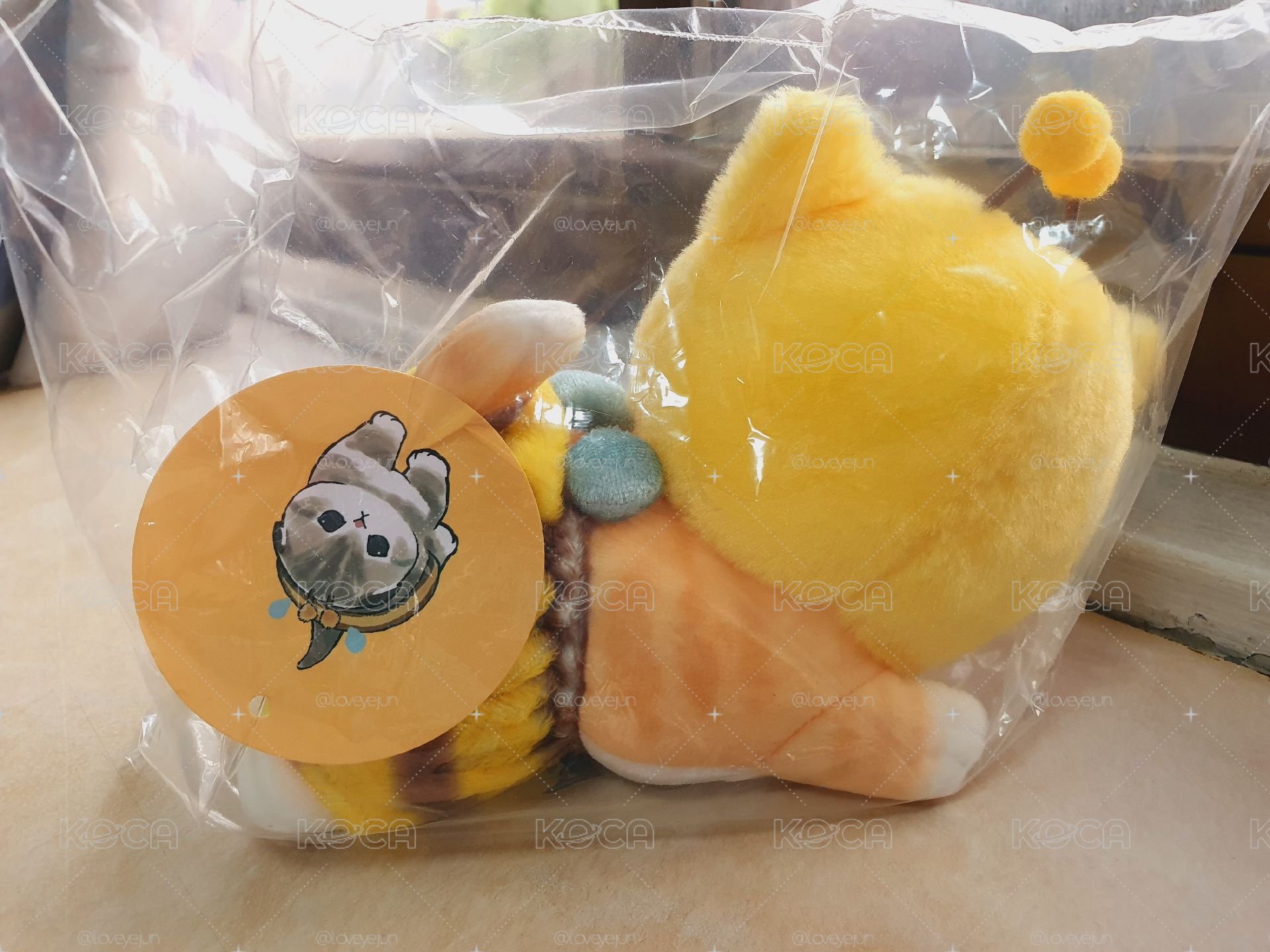 全新 貓福珊迪 蜜蜂貓娃娃