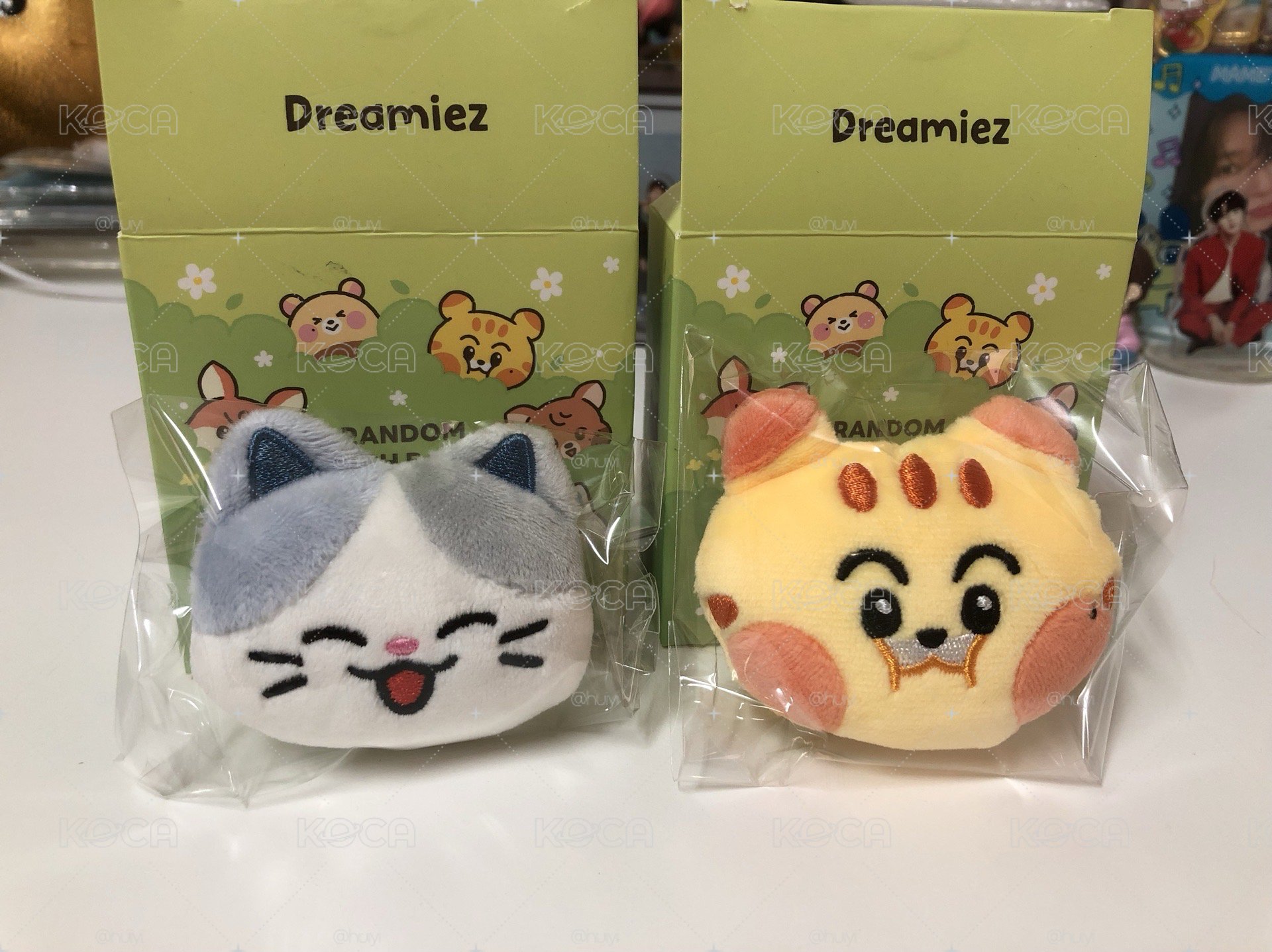NCT DREAM Dreamize 隨機徽章