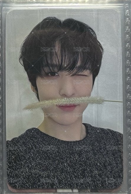 狗尾草潤（綁🍀任兩張）