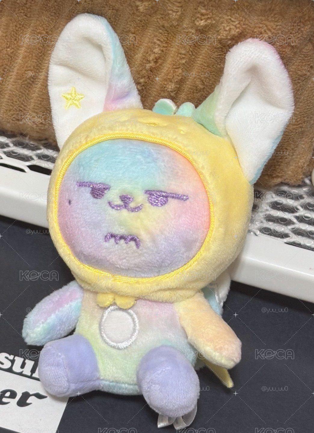 送養彩虹小春🌈🦊
