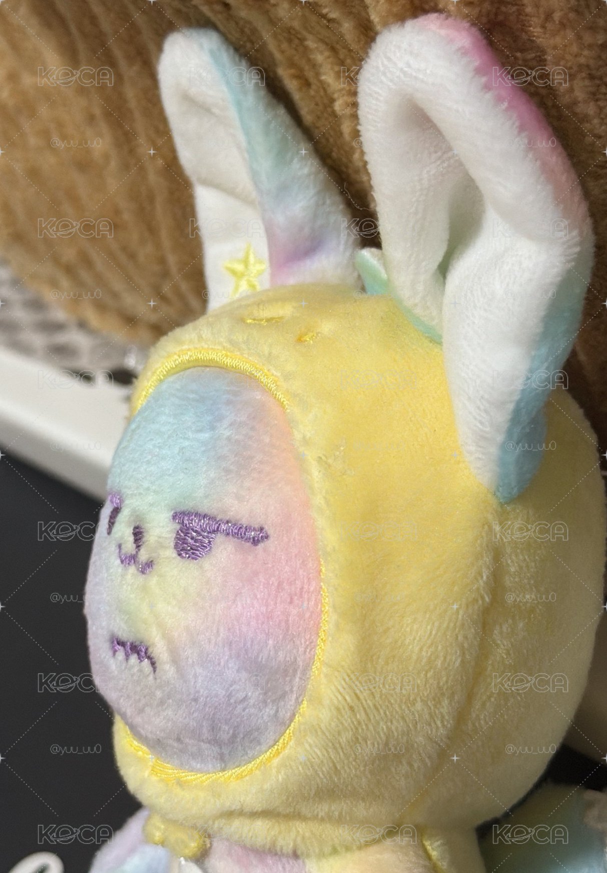 送養彩虹小春🌈🦊