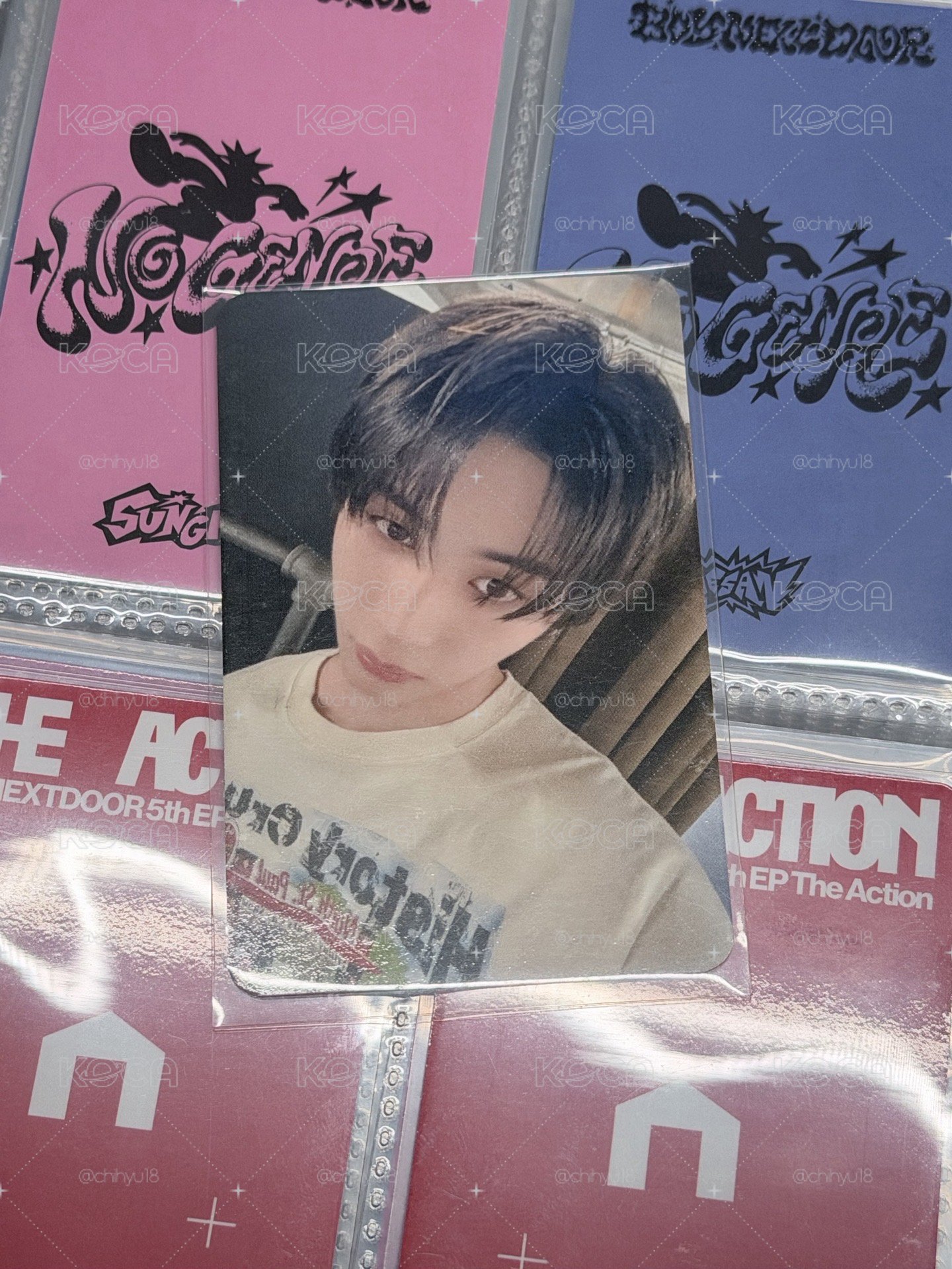 The Action oy 泰山