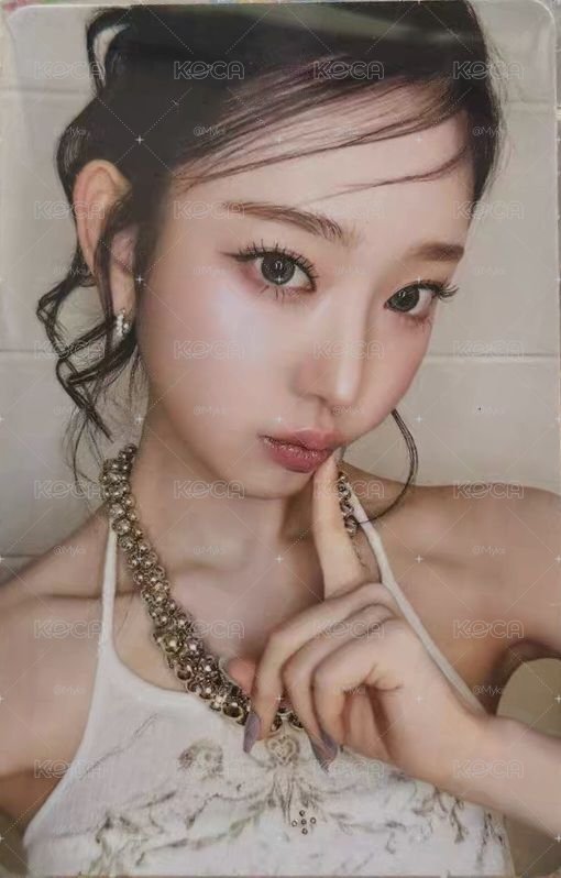 fc 卡册leesol