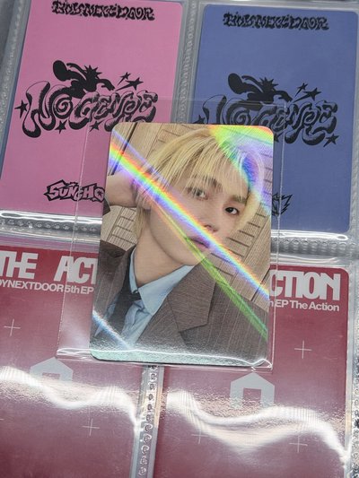 The Action ms 閃卡 成淏+泰山