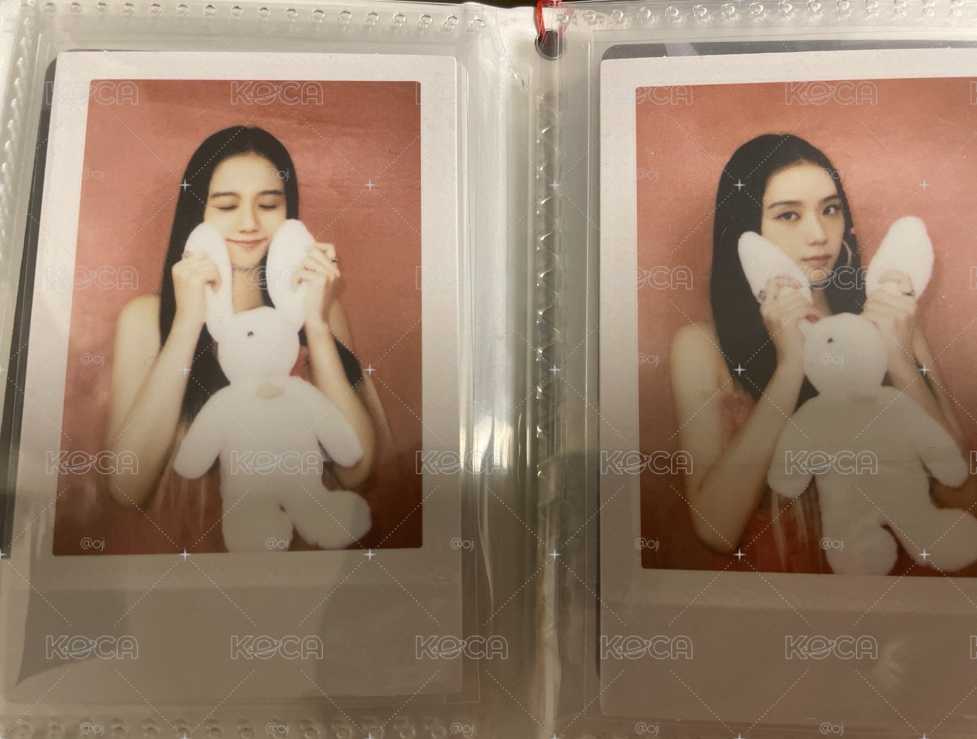 BORN PINK 專輯卡兔子拍立得