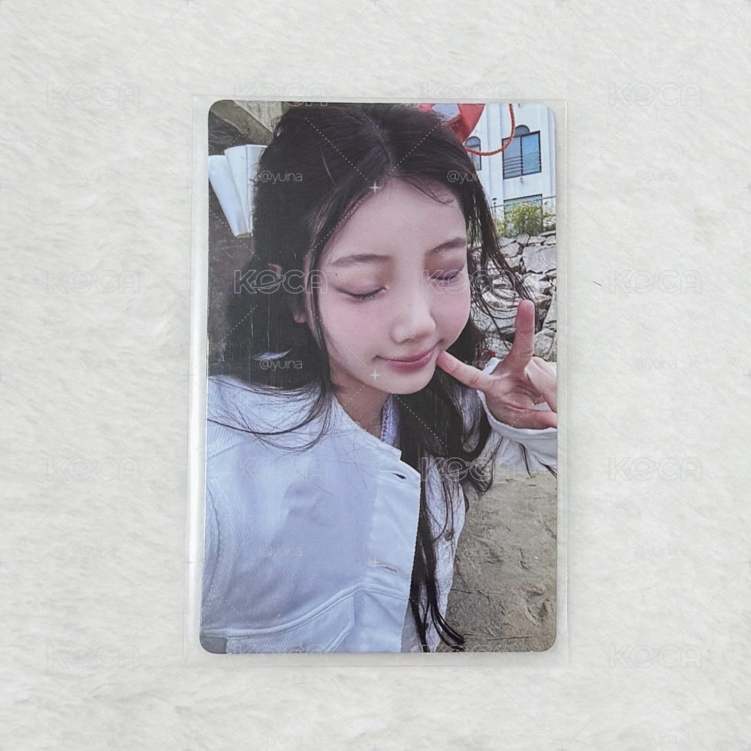 Wonhee 專輯卡
