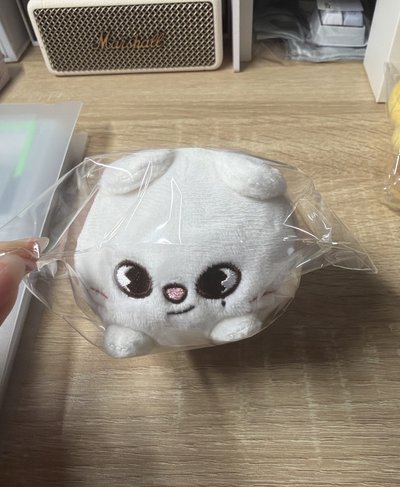 辰趴娃