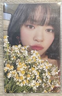 T5 捧花定