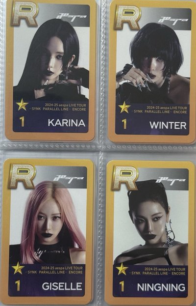 二巡安可場 遊戲卡 一套