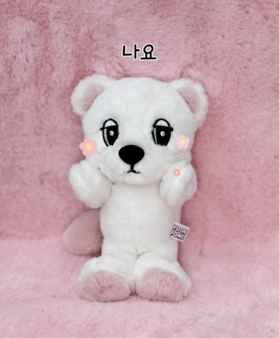 李棟旭 快閃 小白獅 小粉獅