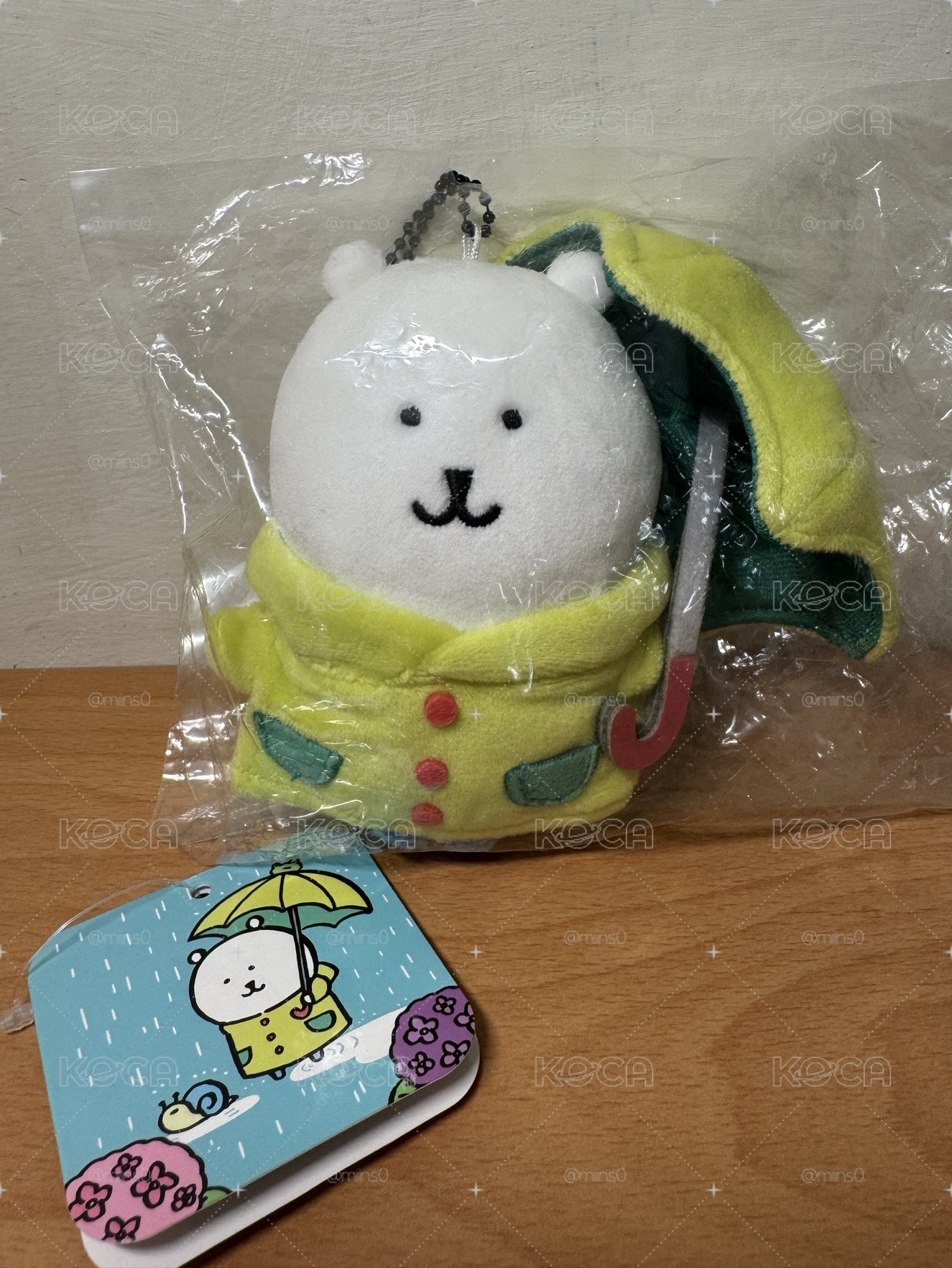 雨衣熊🌧️