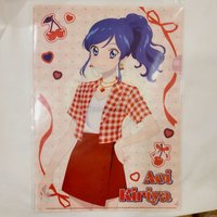 葵 資料夾