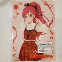 星羅 資料夾