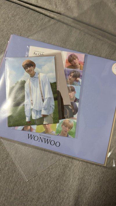 An Ode Wonwoo整套
