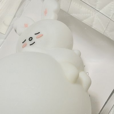 淨漢 成員自製商品 淨兔鼠夜燈（全套）