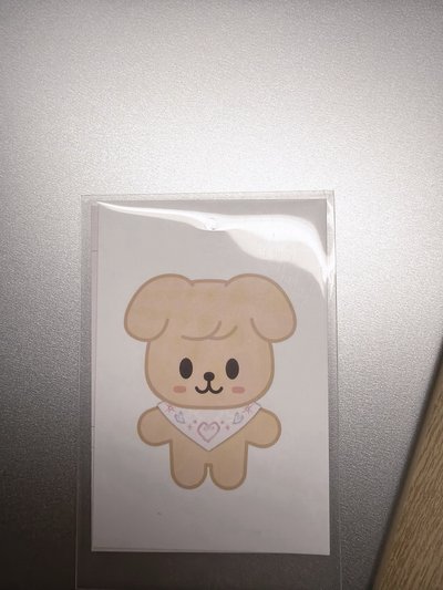 🐶