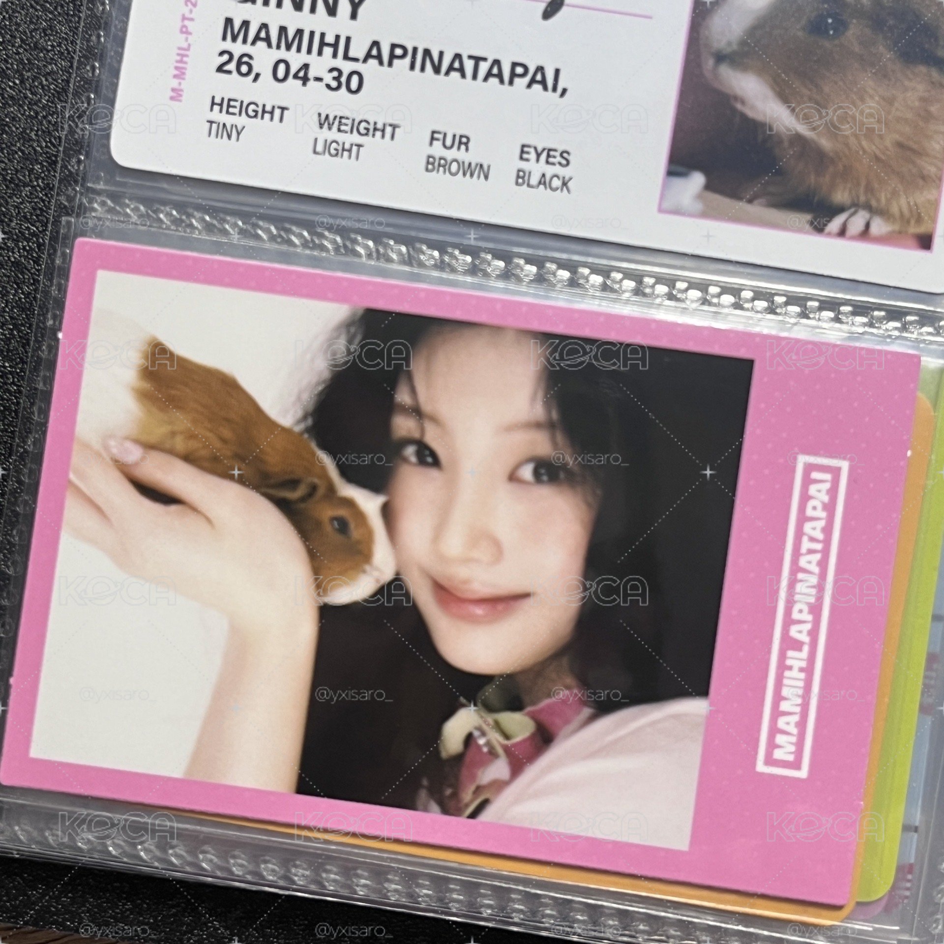 MAMIHLAPINATAPAI｜wvs單封預售禧
