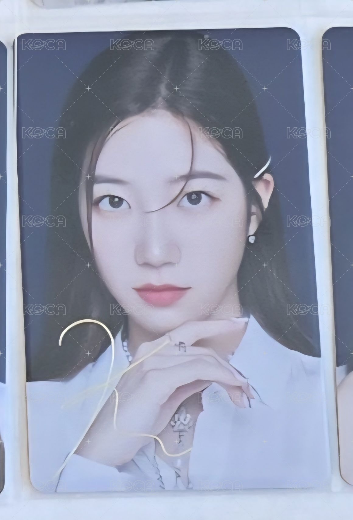 金簽葉