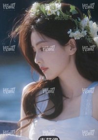 十週年見面會 攬星冊5 隨機卡 520編
