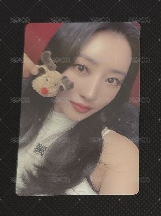 秀雅麋鹿