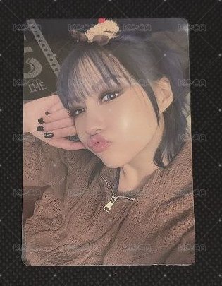 始娟麋鹿