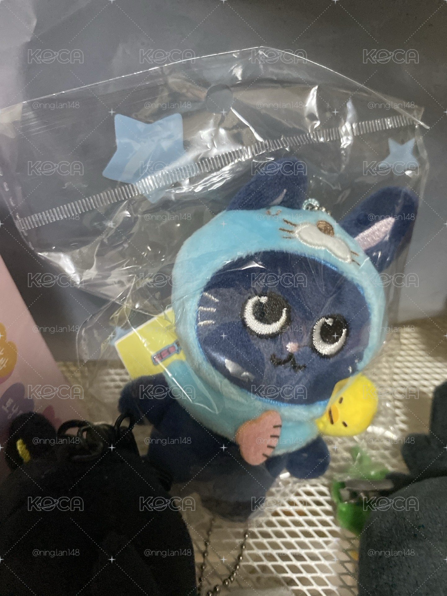 彬娃