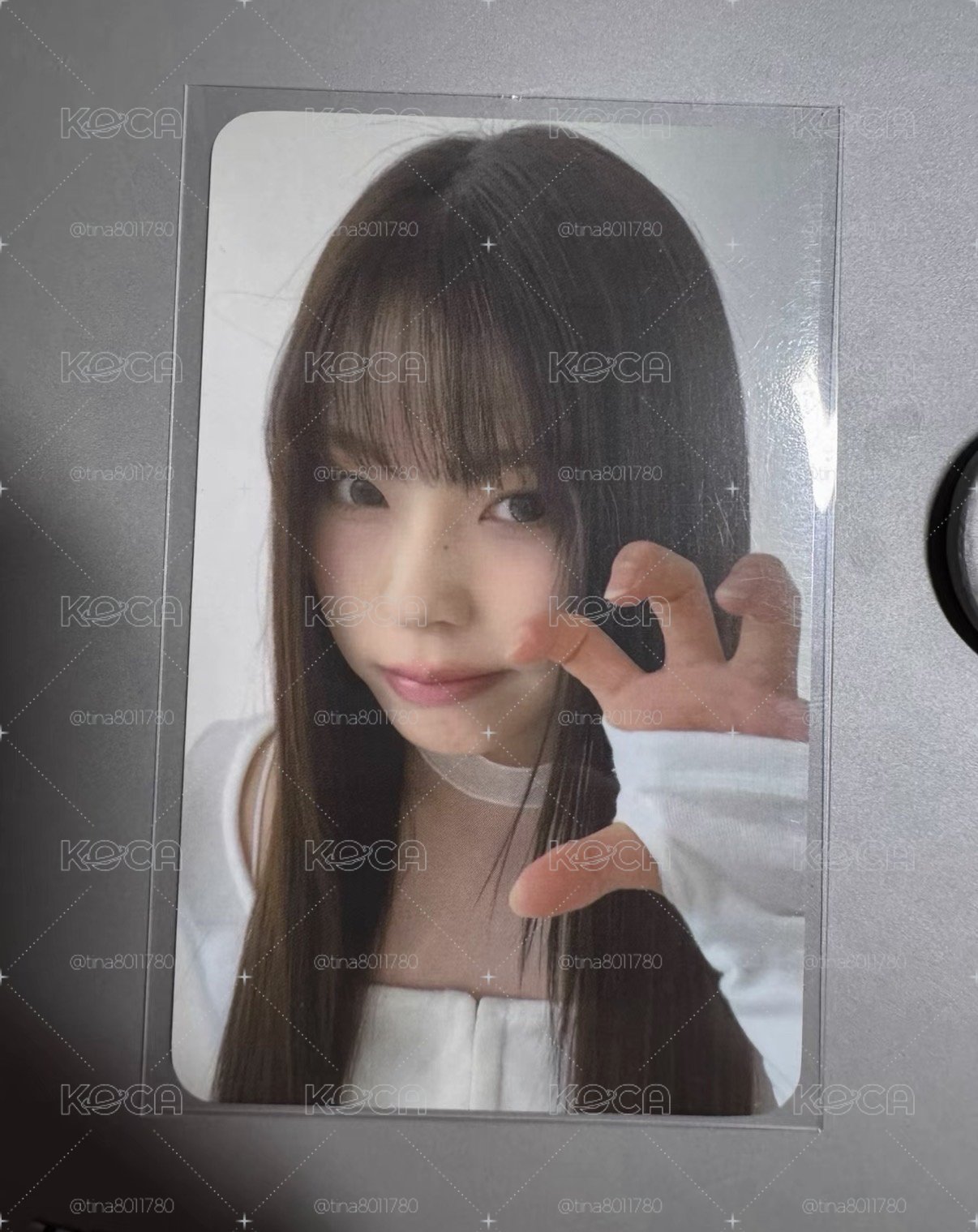 FORWARD jyp 特典卡 預售 溫感圭