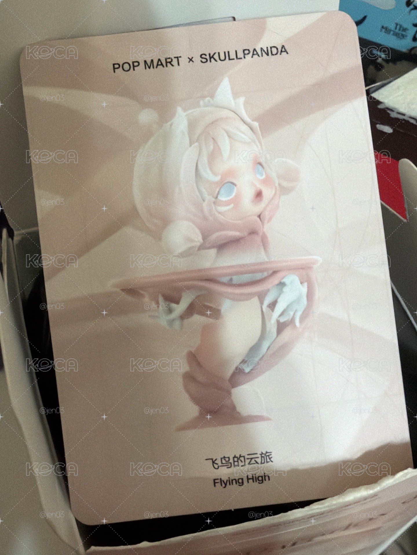 進退之門 飛鳥的雲旅 未拆袋