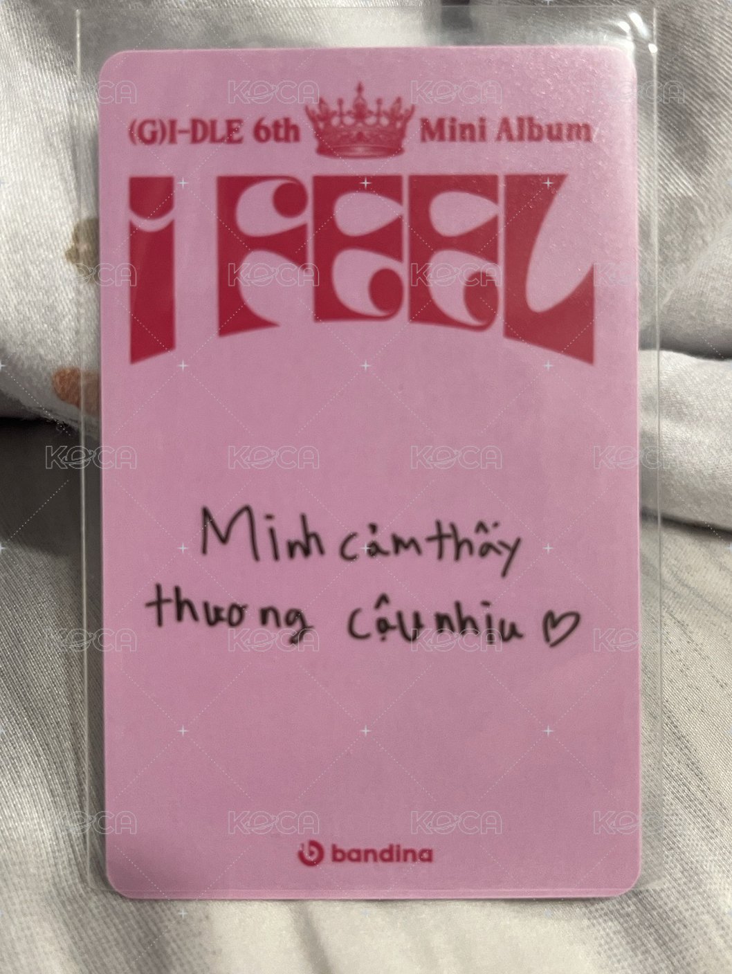越南娟（越南卡背）