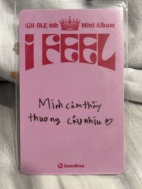 越南娟（越南卡背）