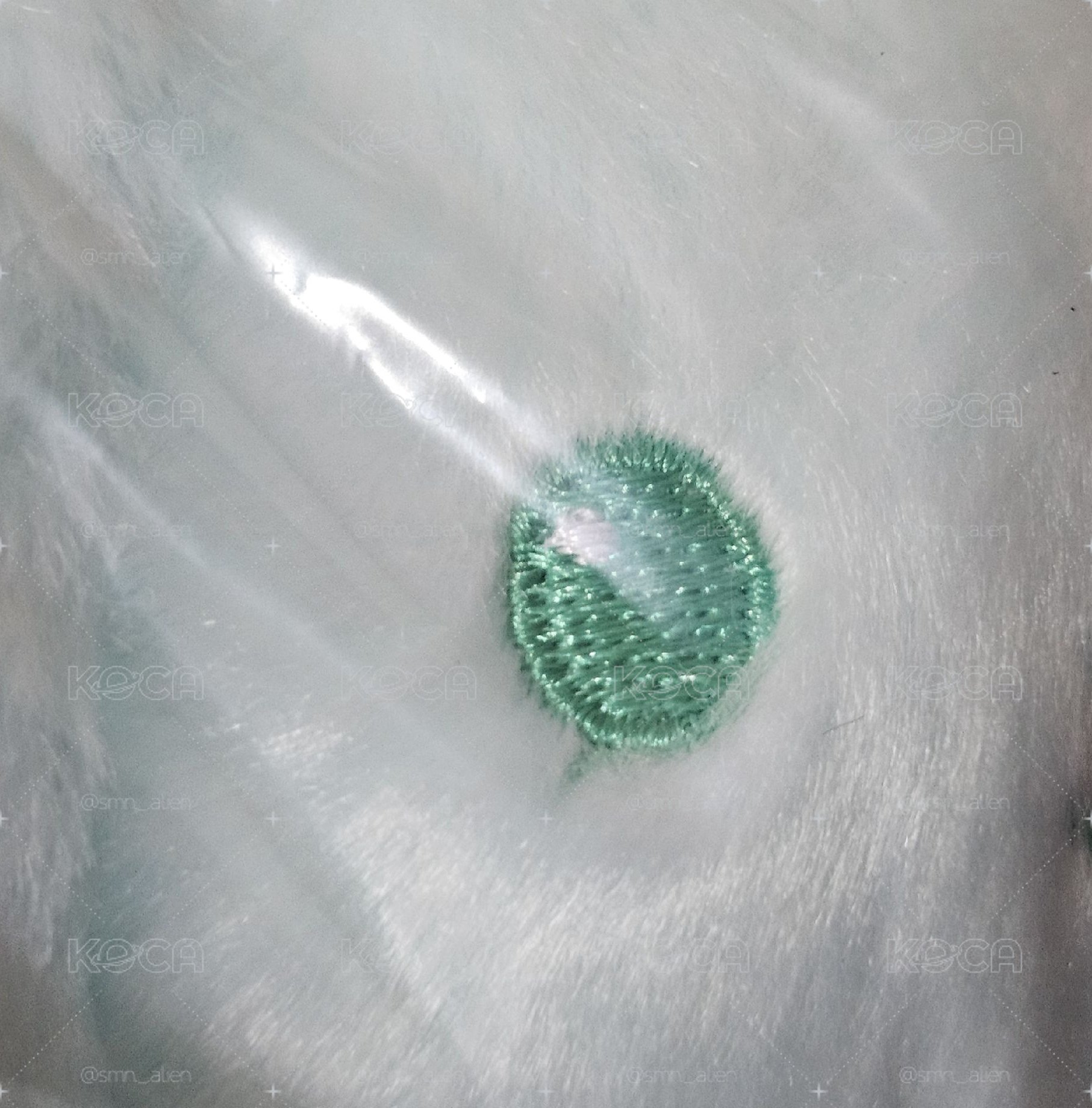 嘿夢尼薄荷狗勾+尚集章卡